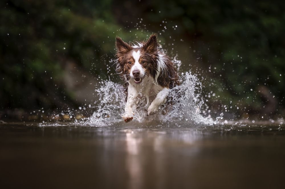 Photograph by Nathalie Soleil