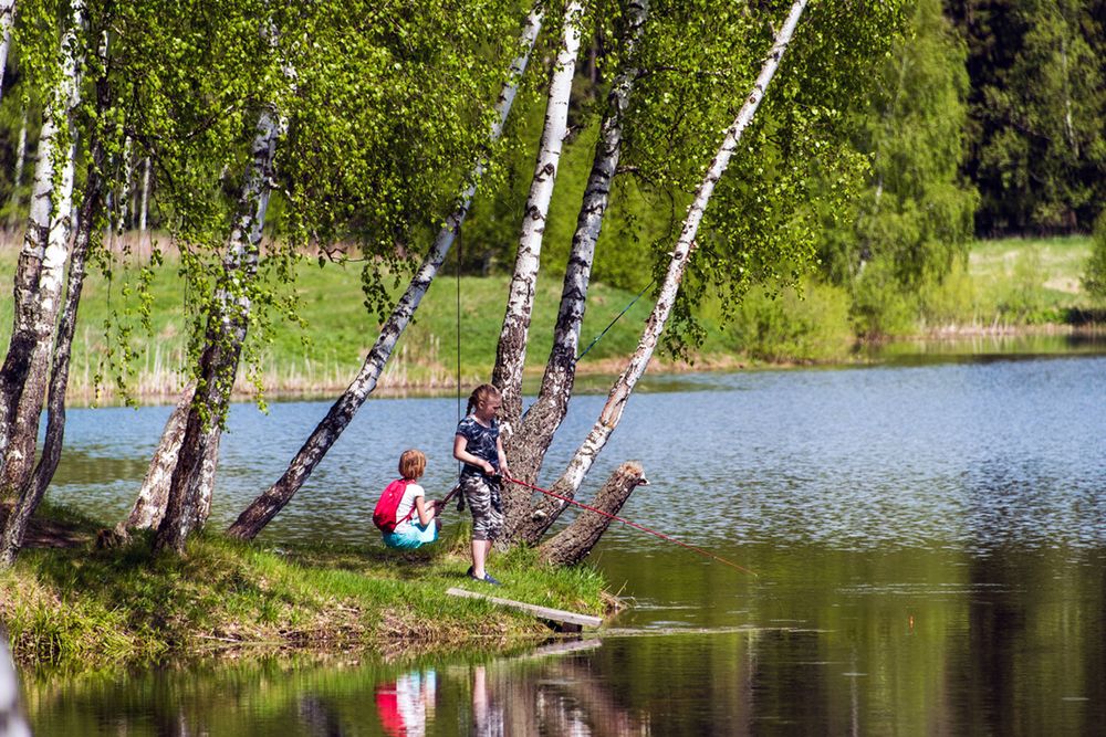 Photograph by Владимир Безбородов