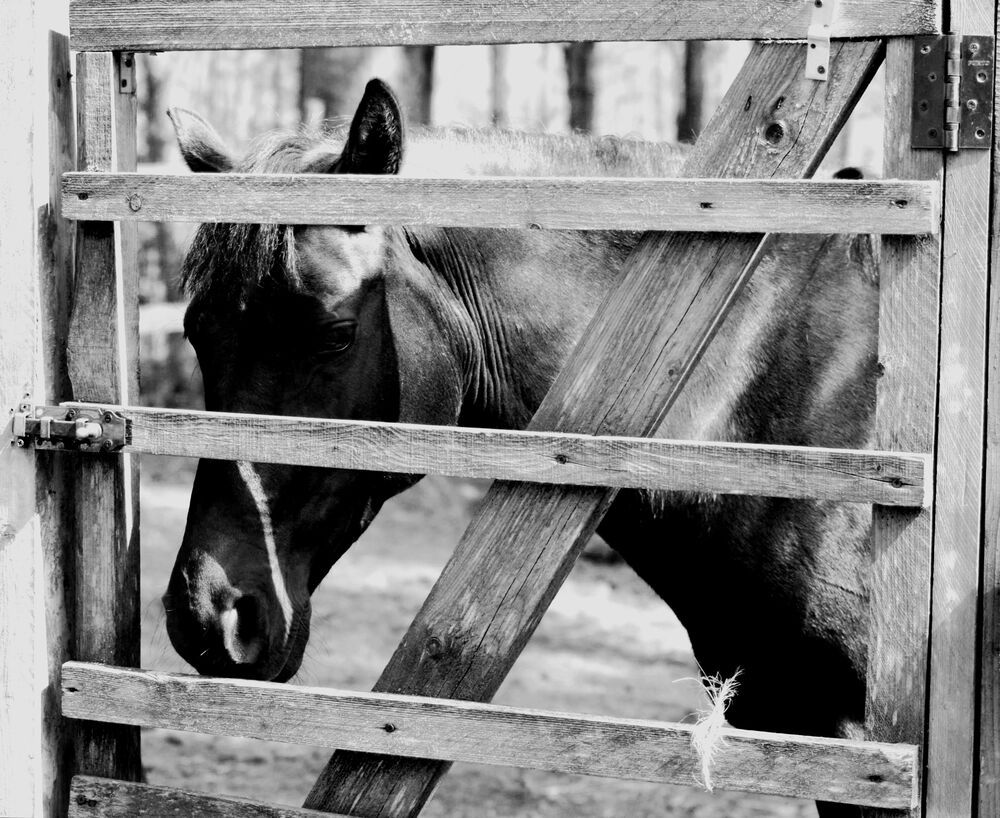 Photograph by Артем Великанов