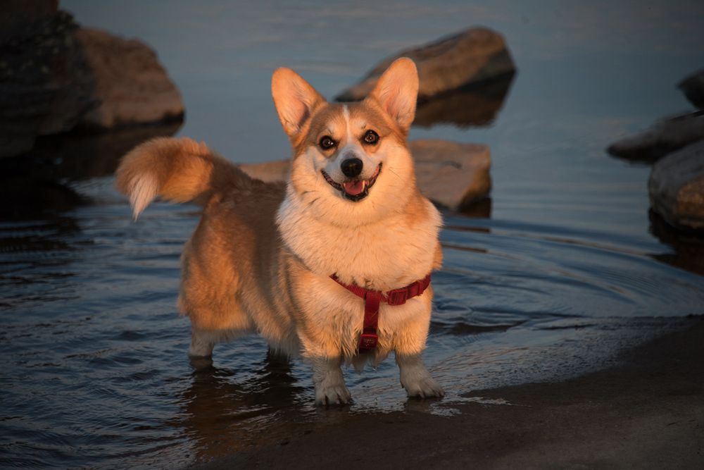 Photograph by Владимир Безбородов