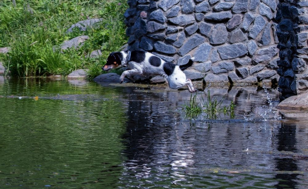 Photograph by Владимир Безбородов