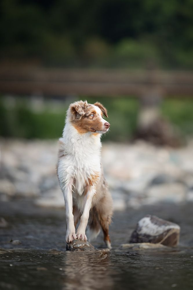 Photograph by Ирина Голомб