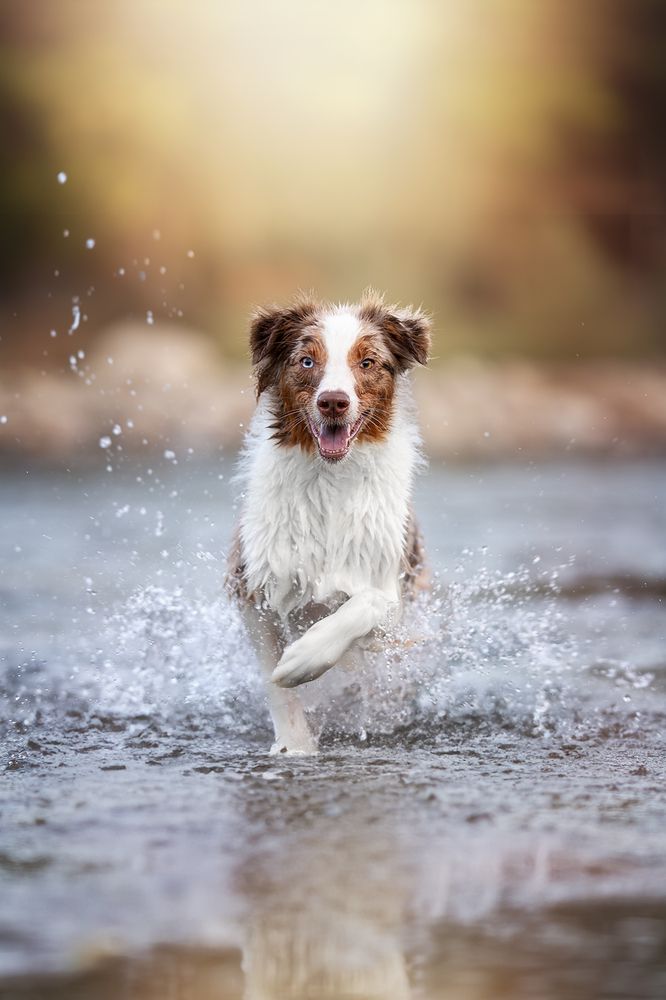 Photograph by Ирина Голомб