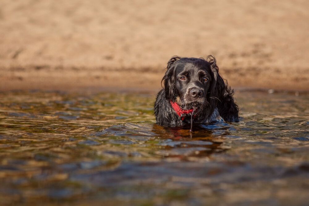 Photograph by Марина Зборацкая