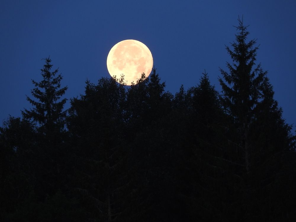 Фотография автора YURY RAMITSAN