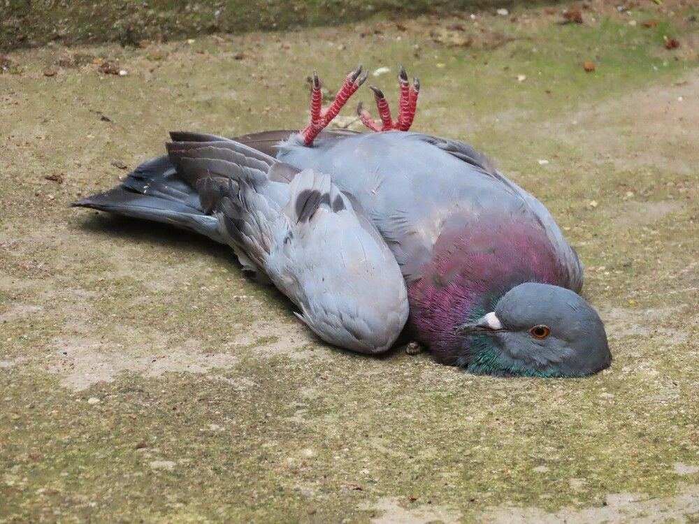 Photograph by Ольга Митрофанова