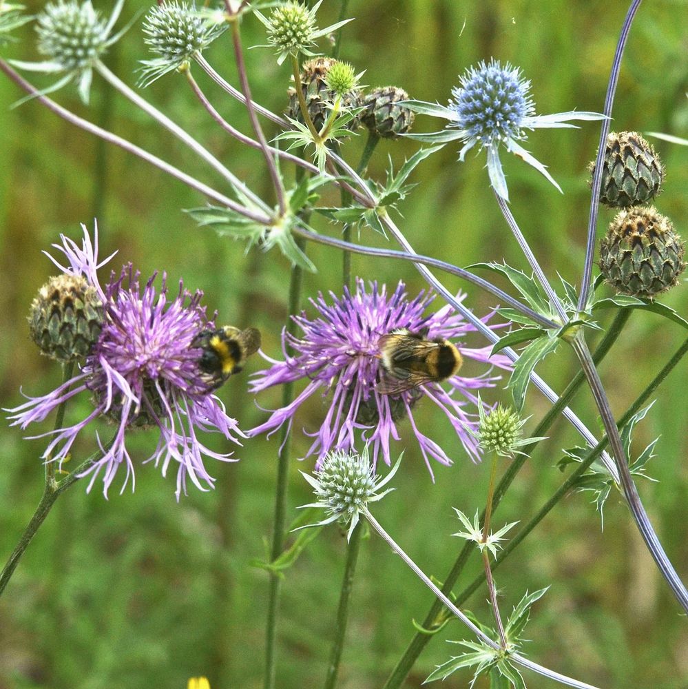 Photograph by Денис Хасанов