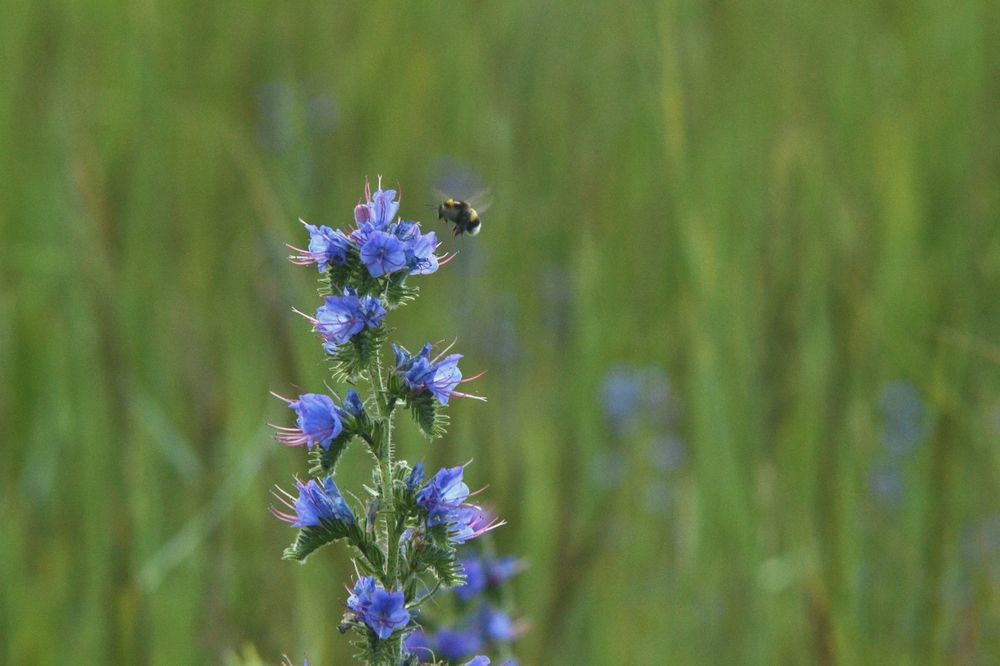 Photograph by Денис Хасанов