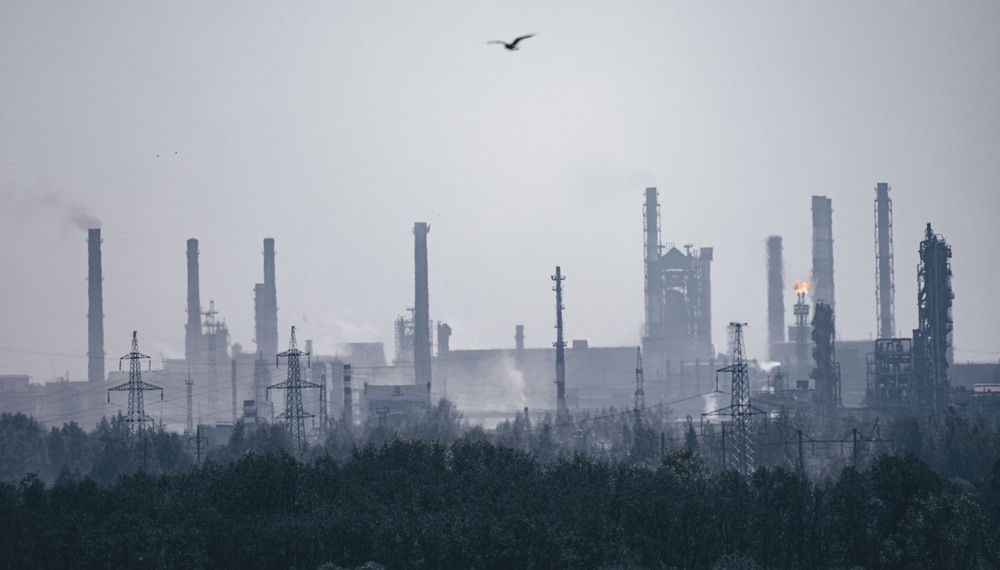 Photograph by Ольга Левакова