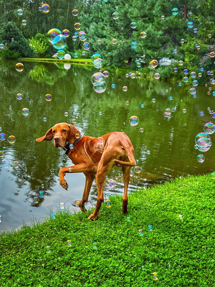 Photograph by Olga Klyueva