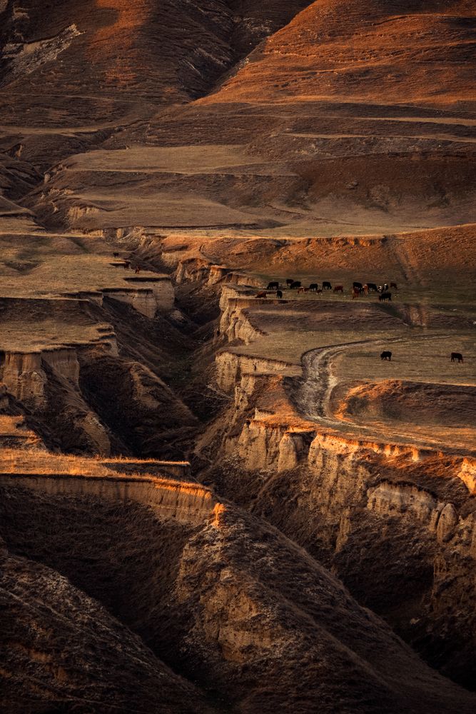 Photograph by Светлана Балабанова