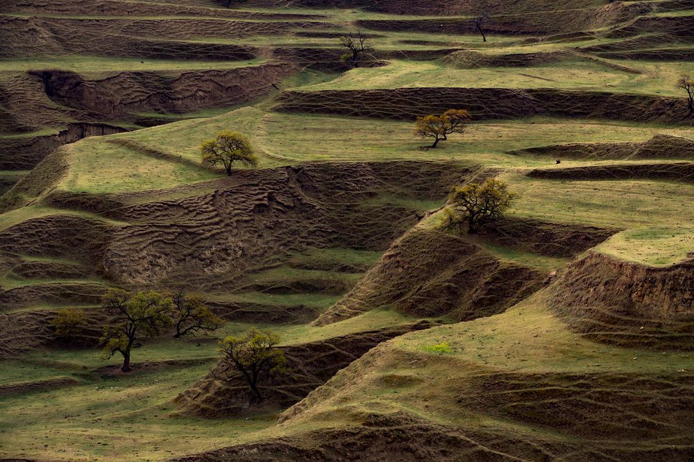 Photograph by Светлана Балабанова