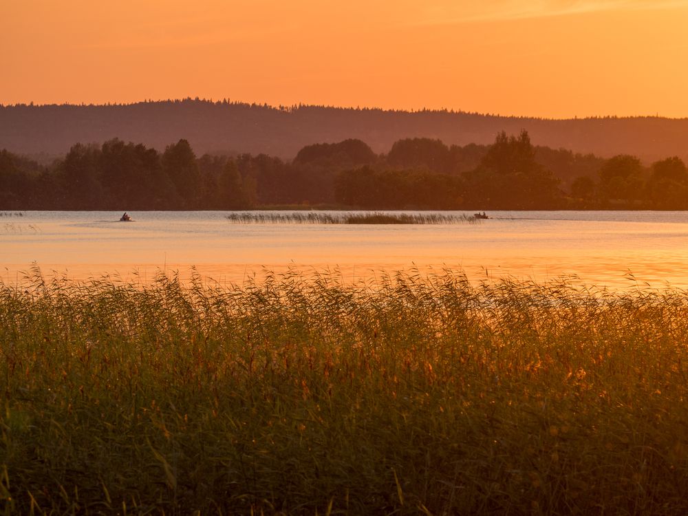 Photograph by Шейко Анна