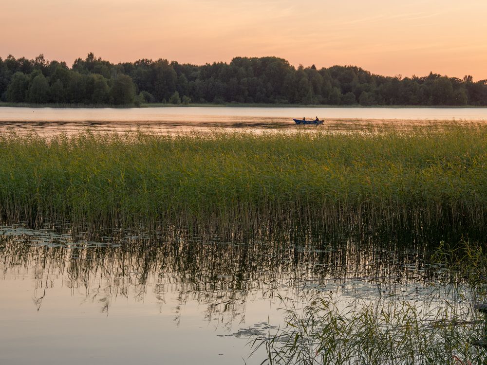 Photograph by Шейко Анна