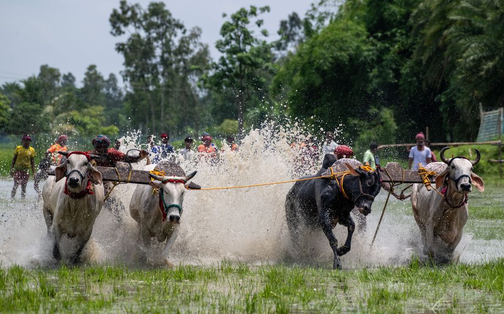 Photograph by Tanmoy Mitra