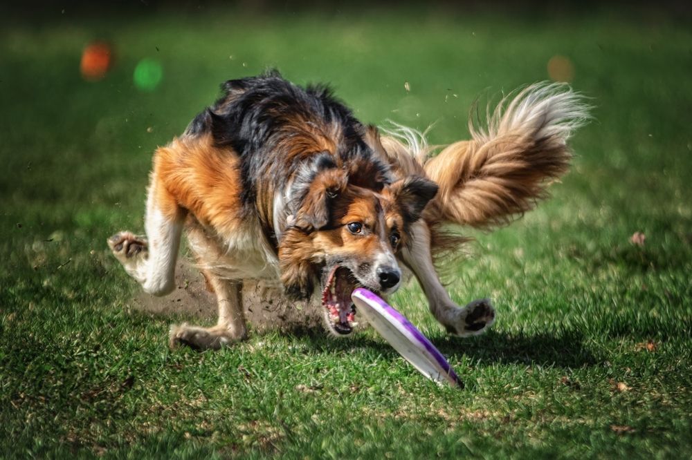 Photograph by Зубкова Юлия