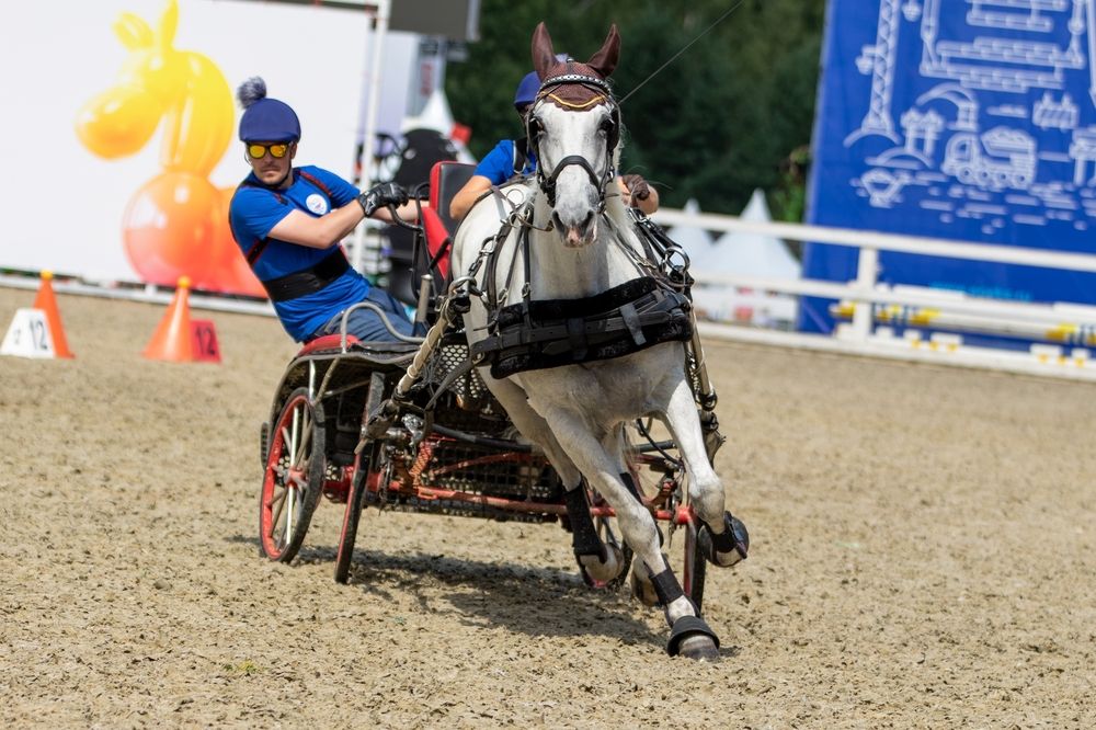 Photograph by Зубкова Юлия