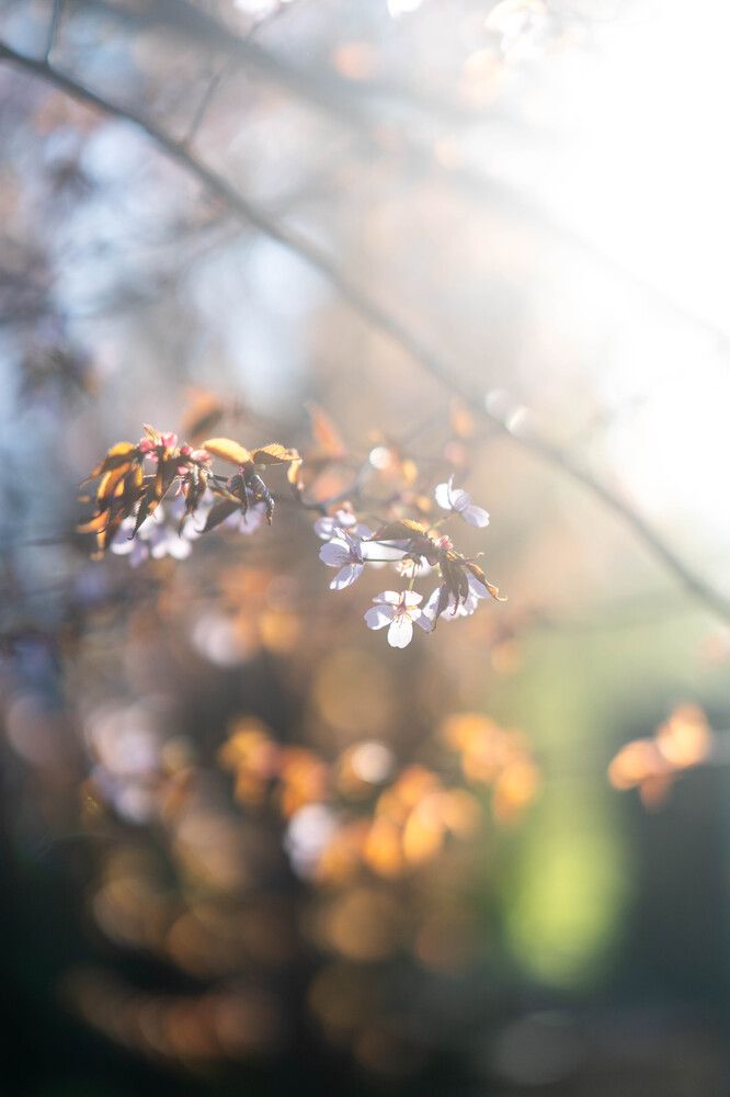 Photograph by Иван Даниилович