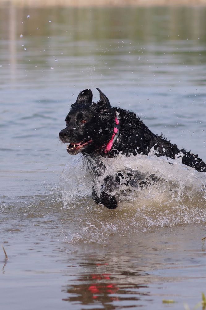 Фотография автора Елена Кириллова