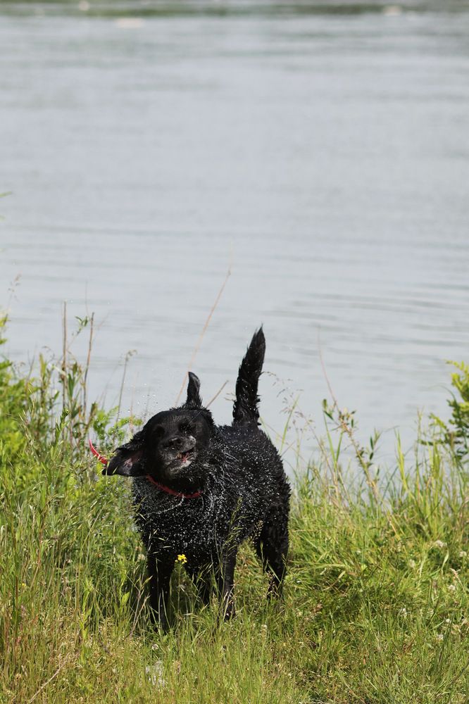 Фотография автора Елена Кириллова