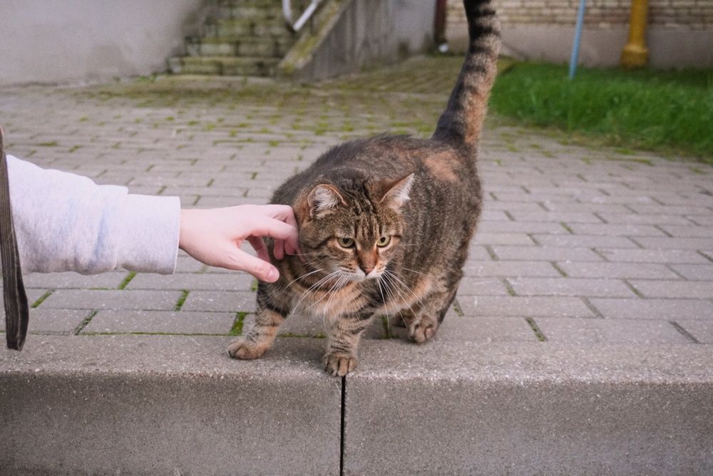 Photograph by Анастасия Мешкова