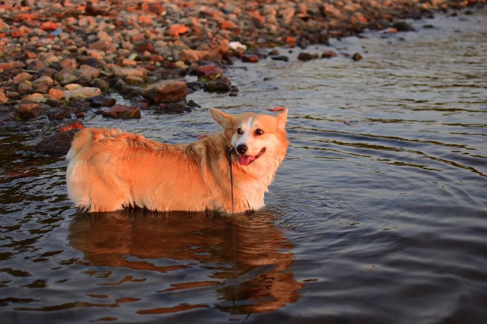 Фотография автора Альбина Хвастунова