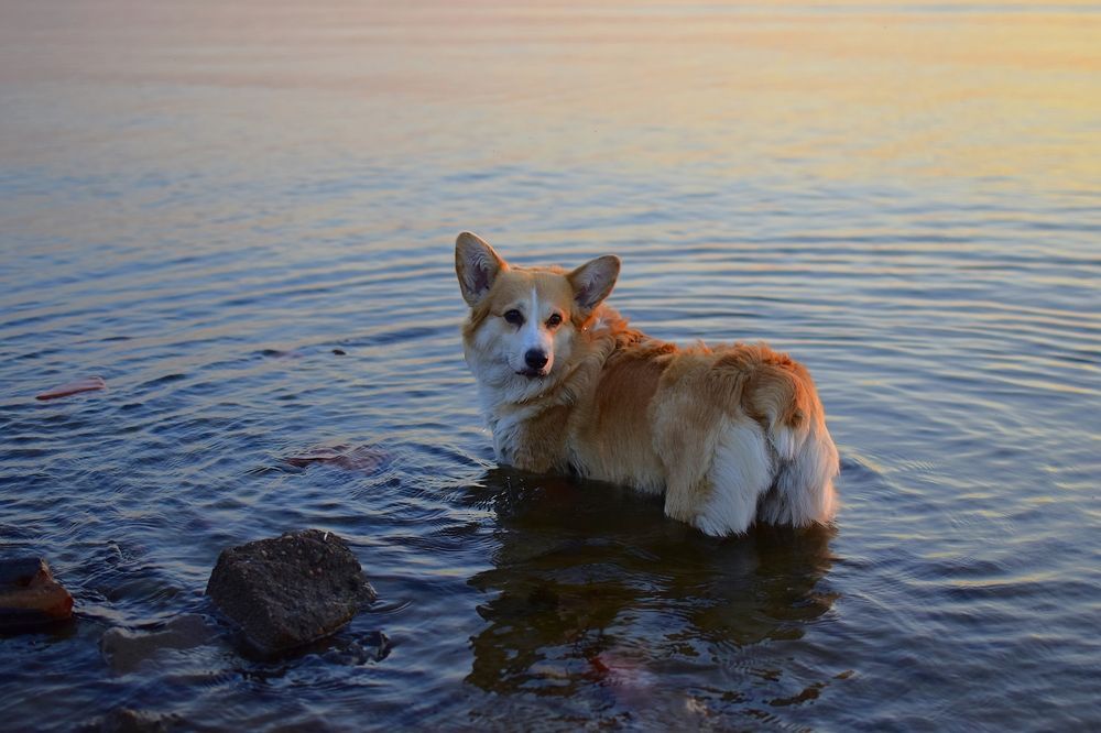 Фотография автора Альбина Хвастунова