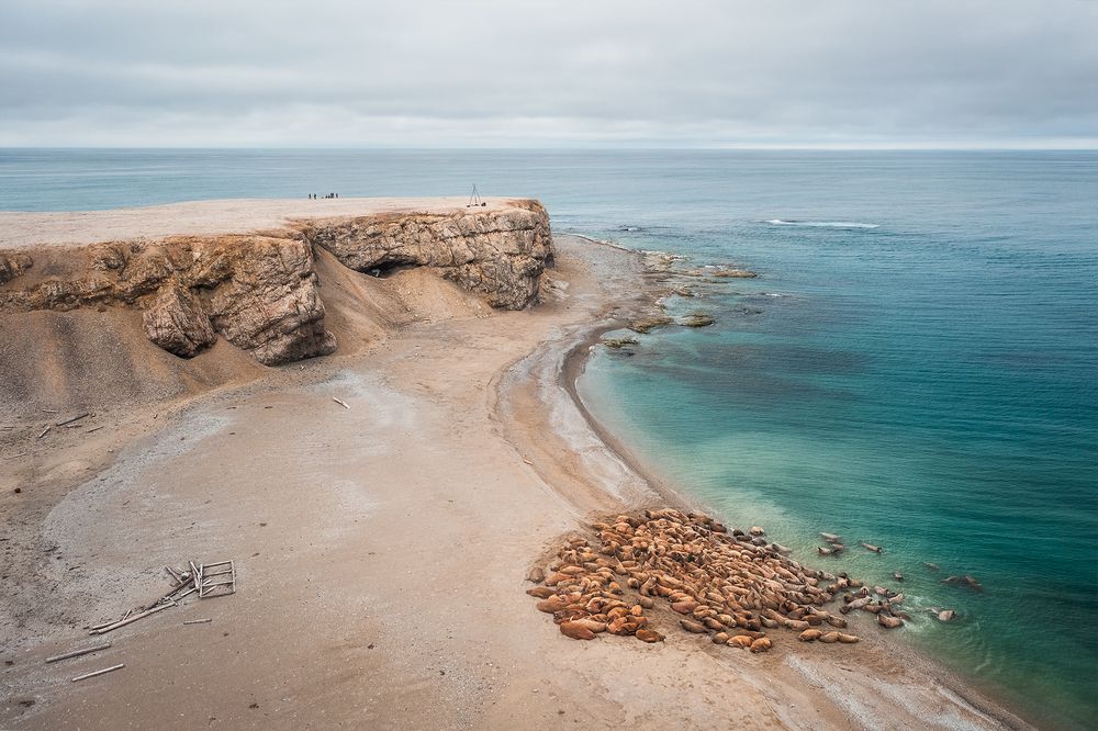 Photograph by Ermolin Aleksandr