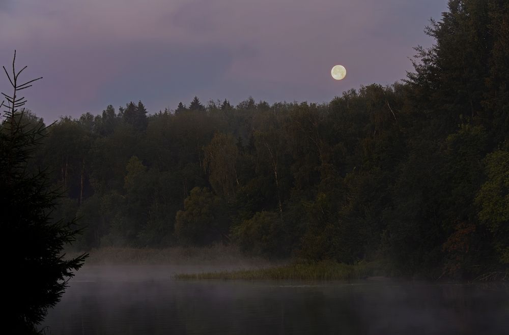 Photograph by Михаил Косолапов