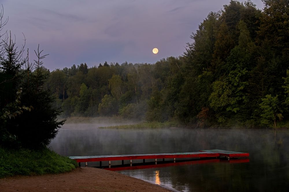 Photograph by Михаил Косолапов