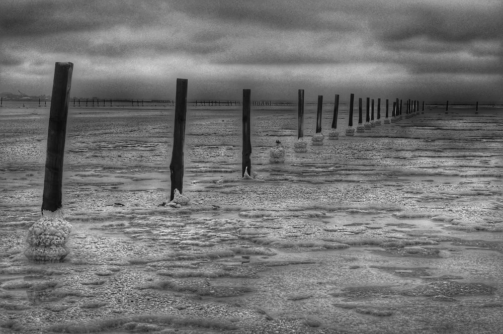 Photograph by Дмитрий Потапов