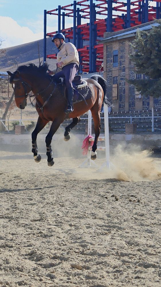 Photograph by Amir Hosein Shokrabadi