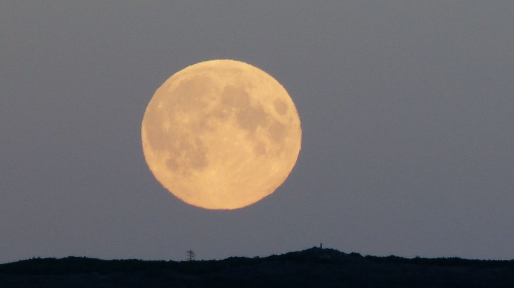 Photograph by Максим Владимирович