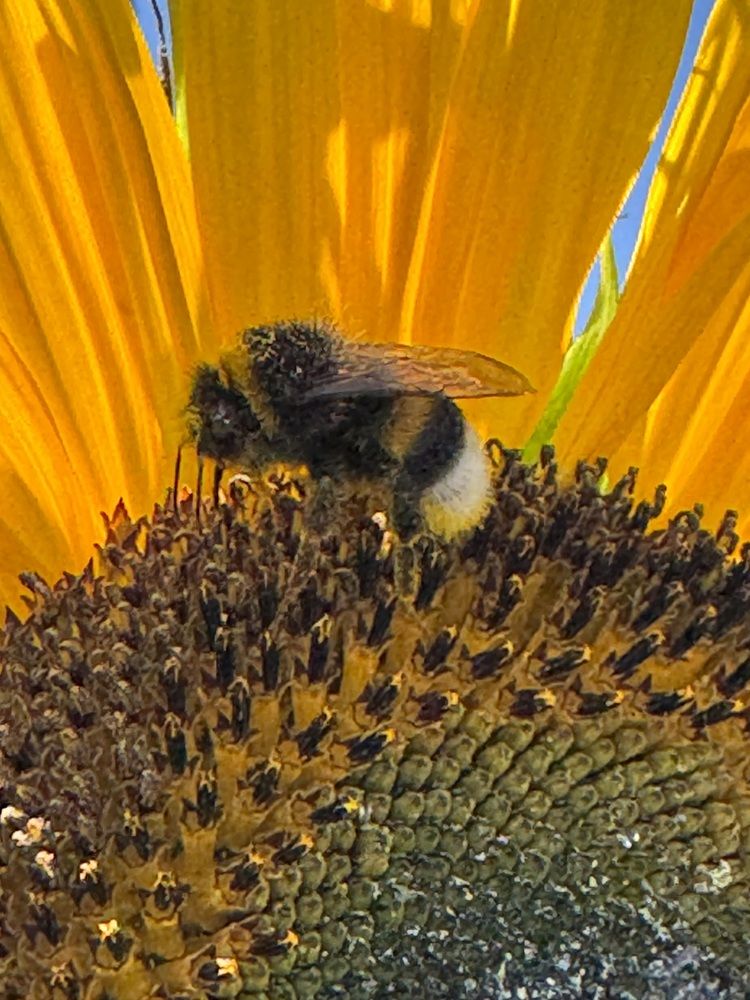 Photograph by Марина Сальникова