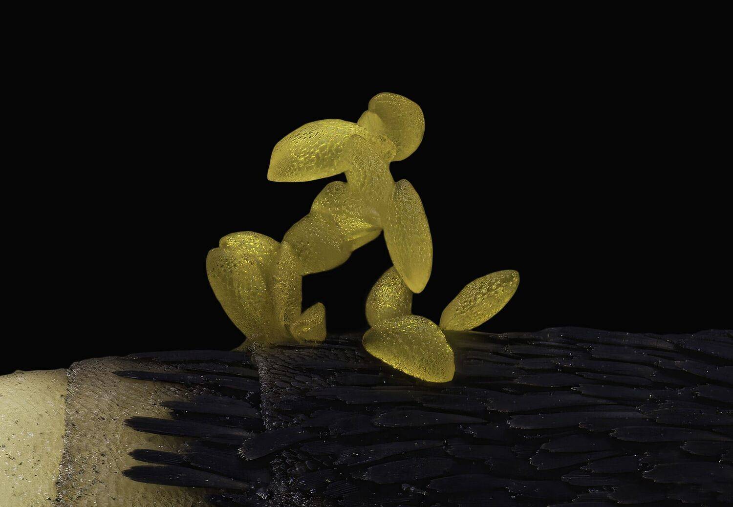 Pollen on a butterfly antenna