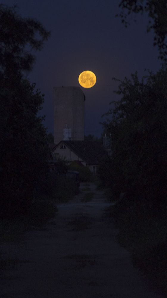 Фотография автора Сергей Кравцов