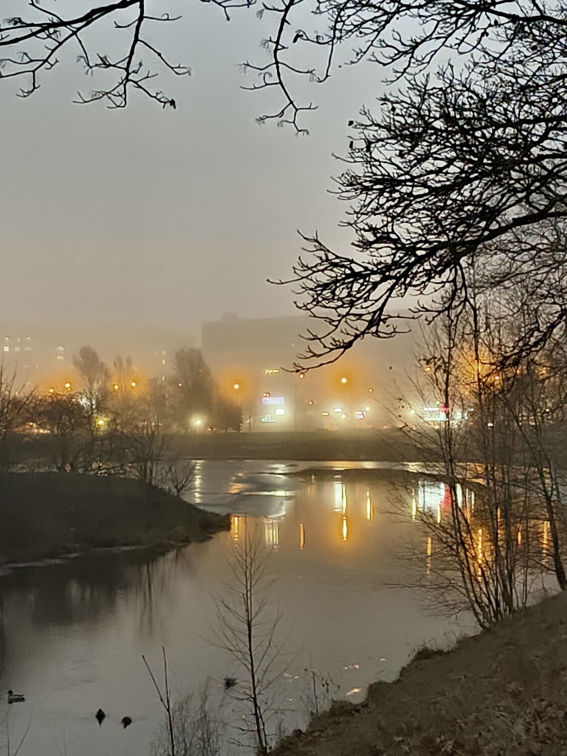 Photo #12445517