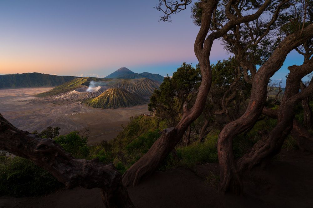 Venus arrived Bromo
