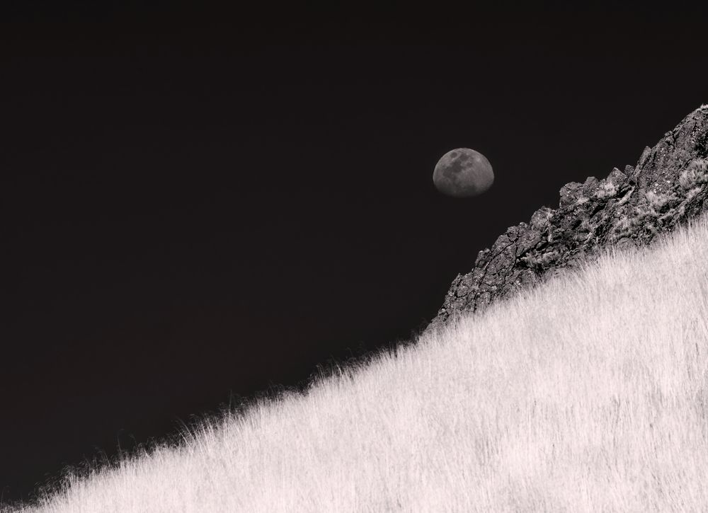 Photograph by Jaime Trejo