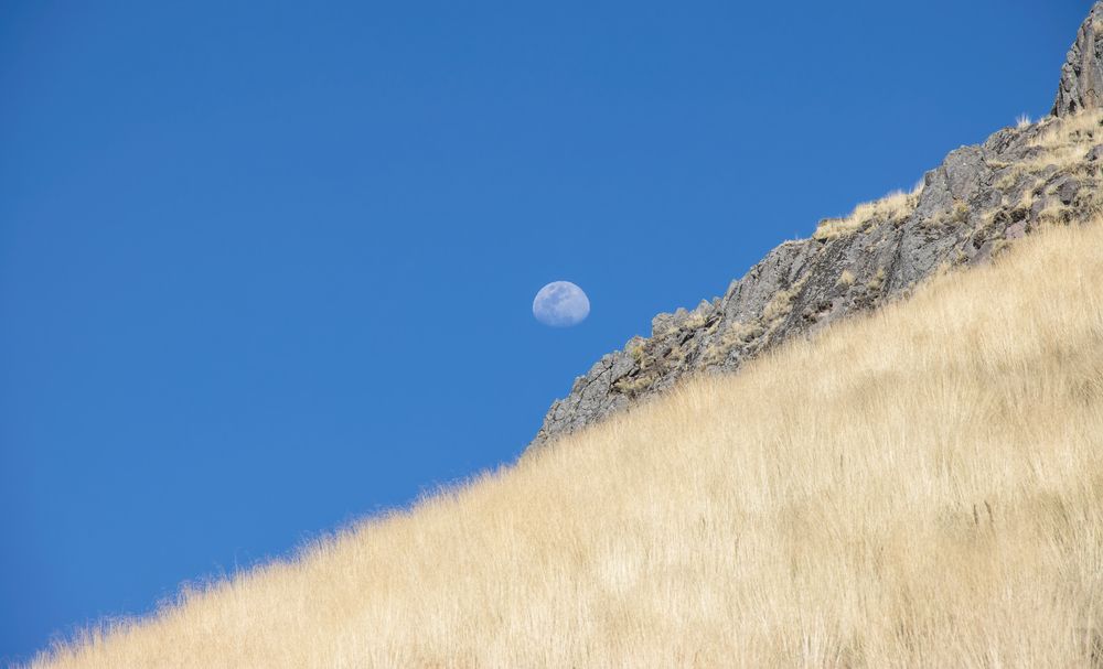 Photograph by Jaime Trejo