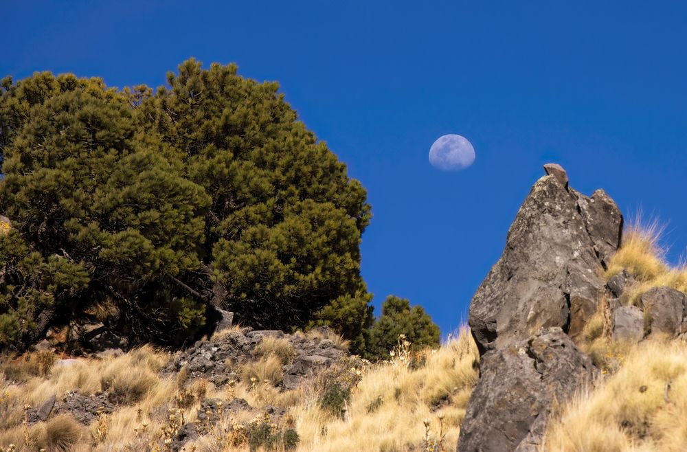 Photograph by Jaime Trejo