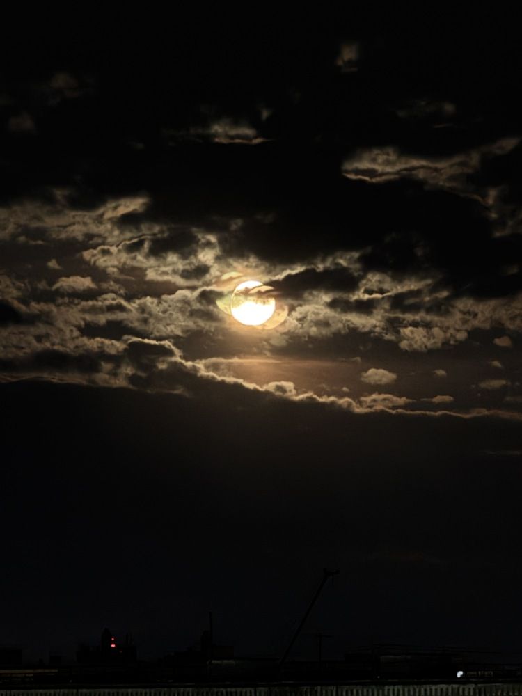 Photograph by Кристина Сидорова