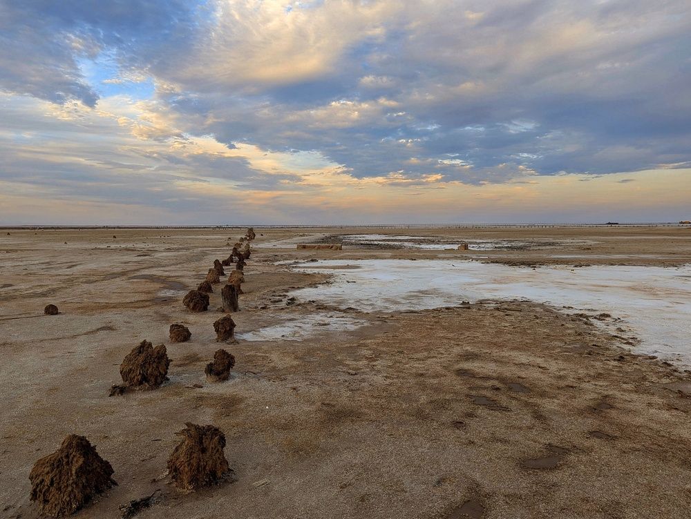 Photograph by AlexaL