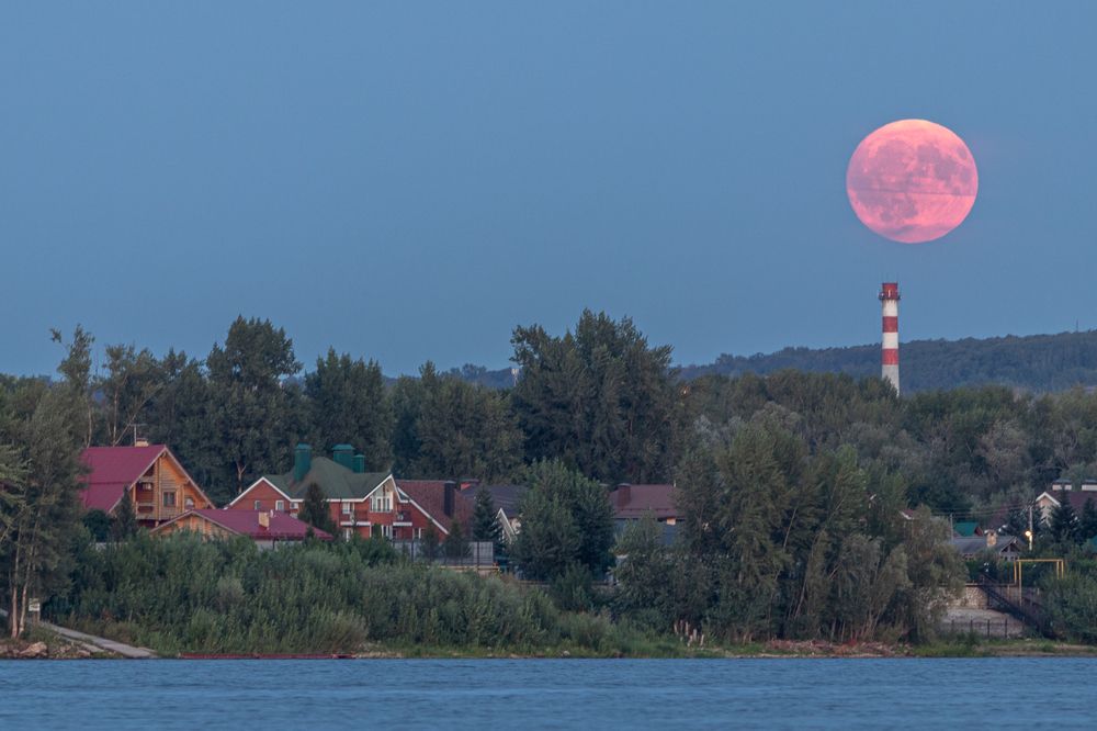 Photograph by Lapin Vitaly