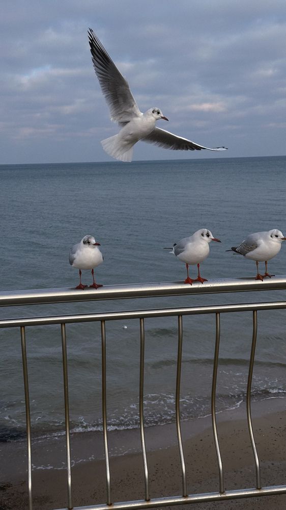 Photograph by Татьяна Веселова