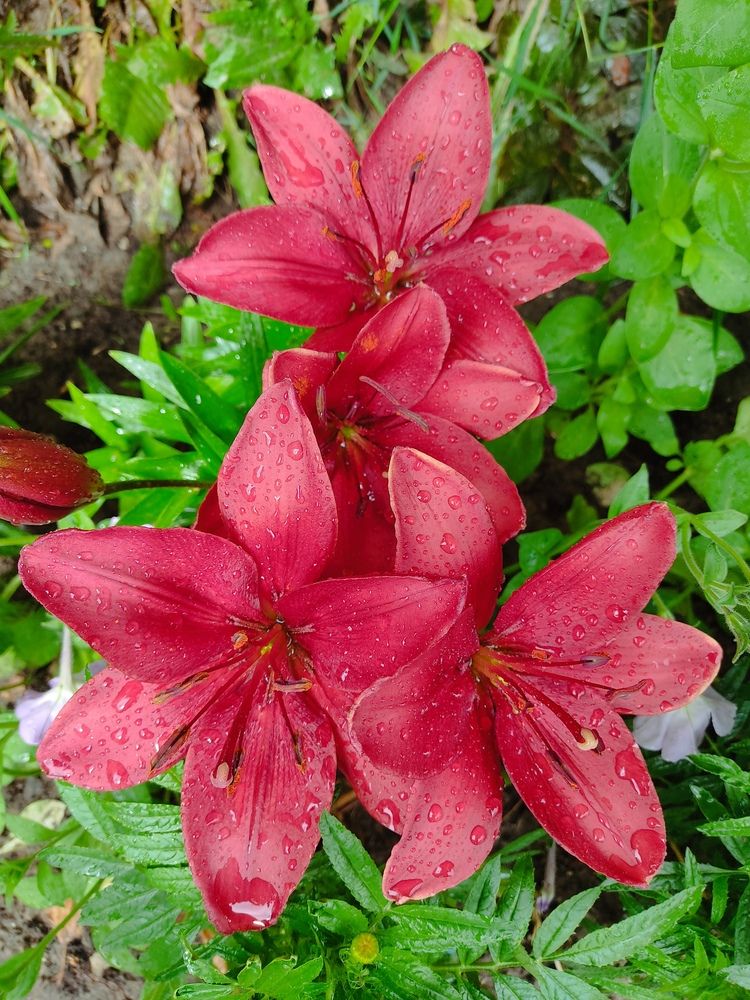 Photograph by Наталья Билай