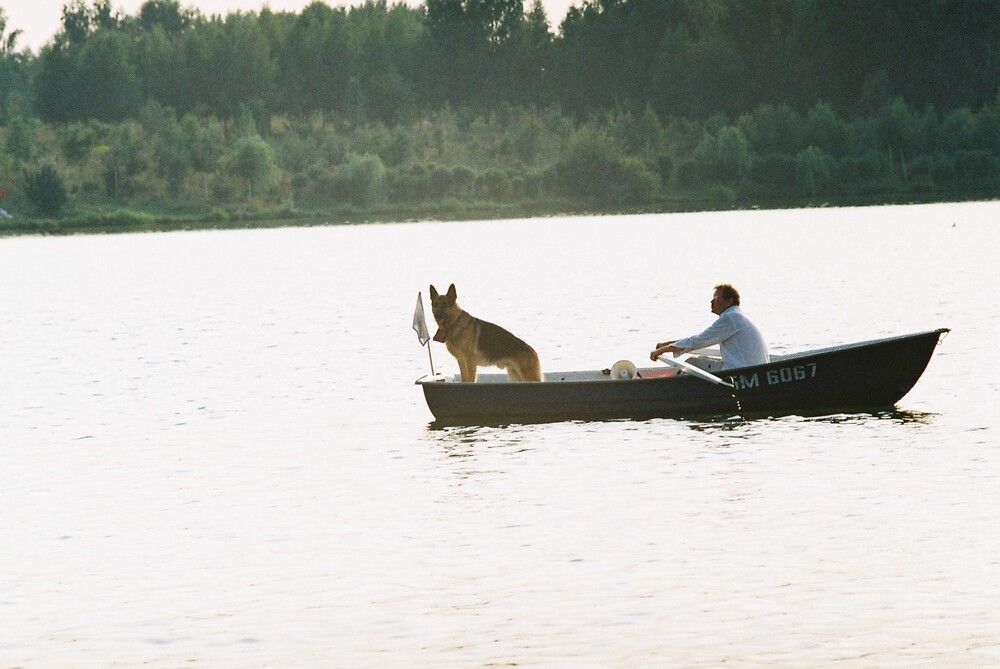 Фотография автора Никита Русецкий