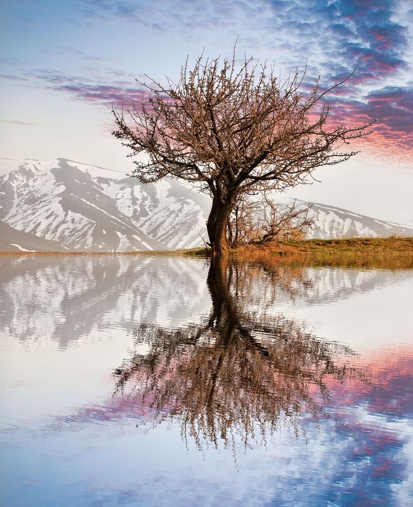 Photograph by Maghsoud Moradi