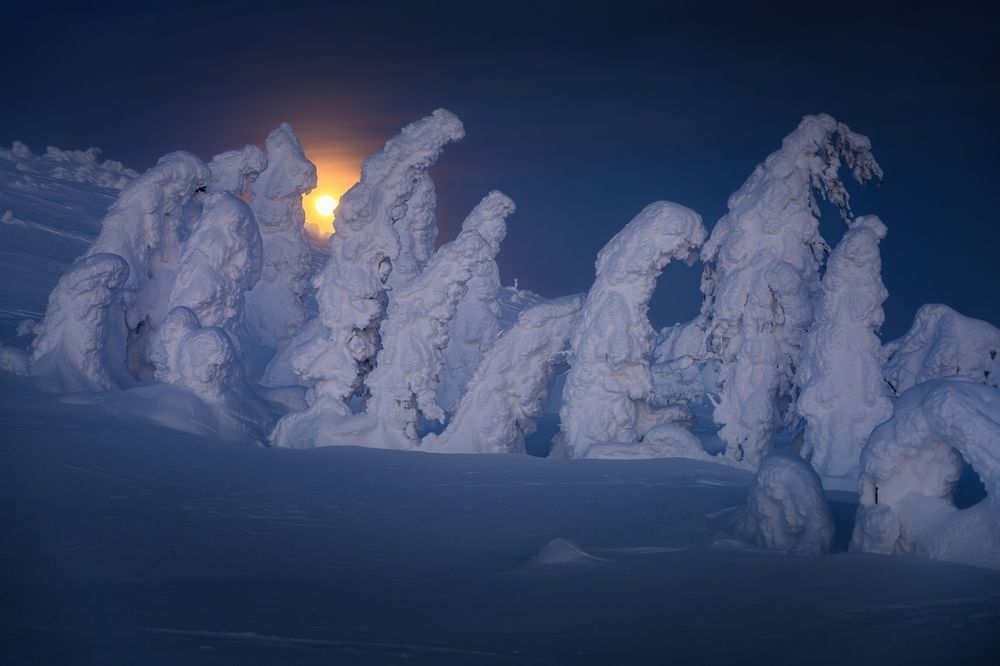 Photograph by Василий Яковлев