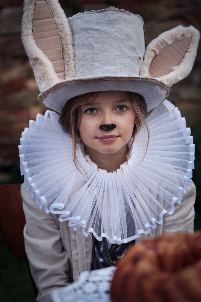 Rabbit from Alice in the wonderland
